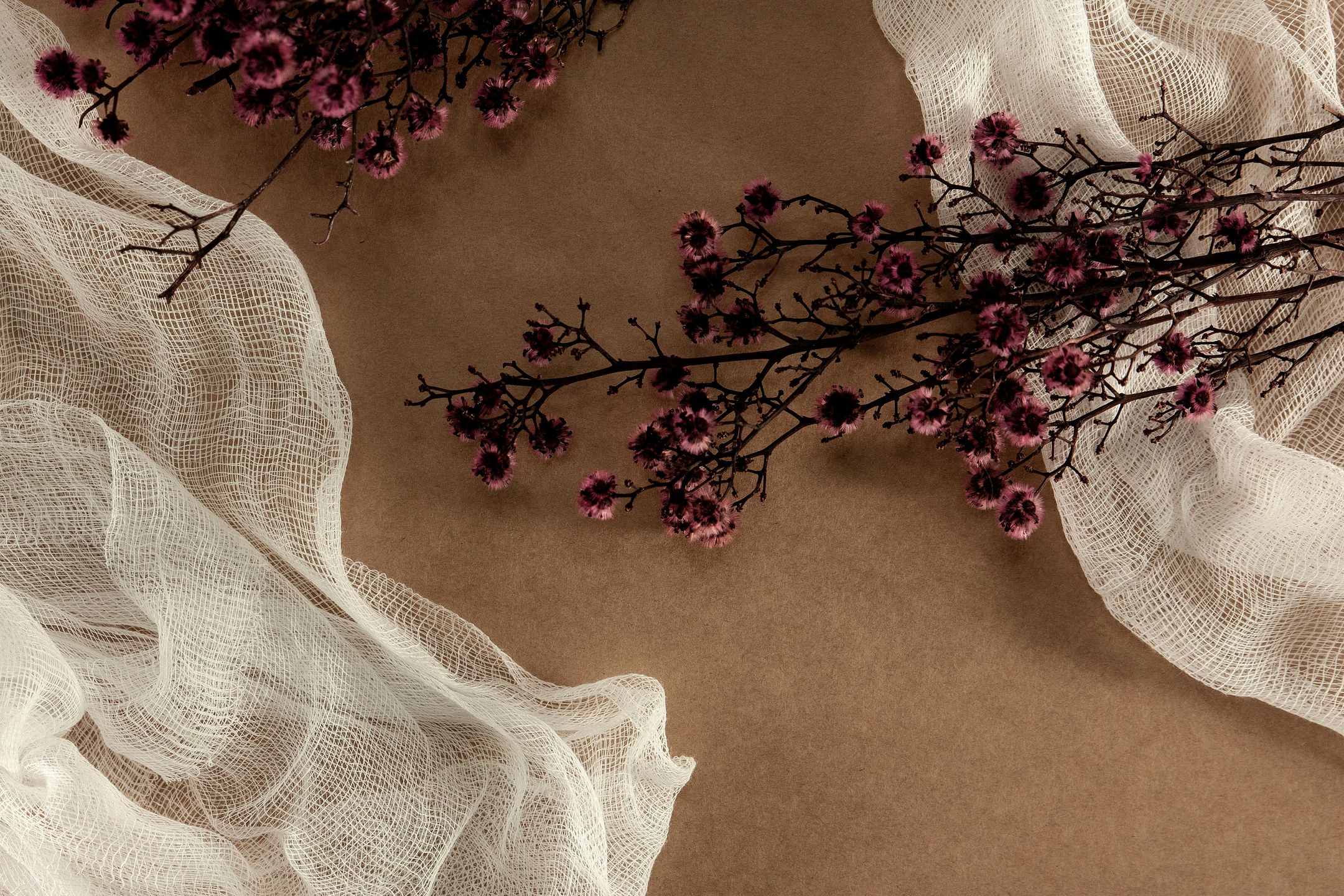 Bloom and Plan