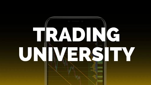 Forex & Crypto Trading Excellence
