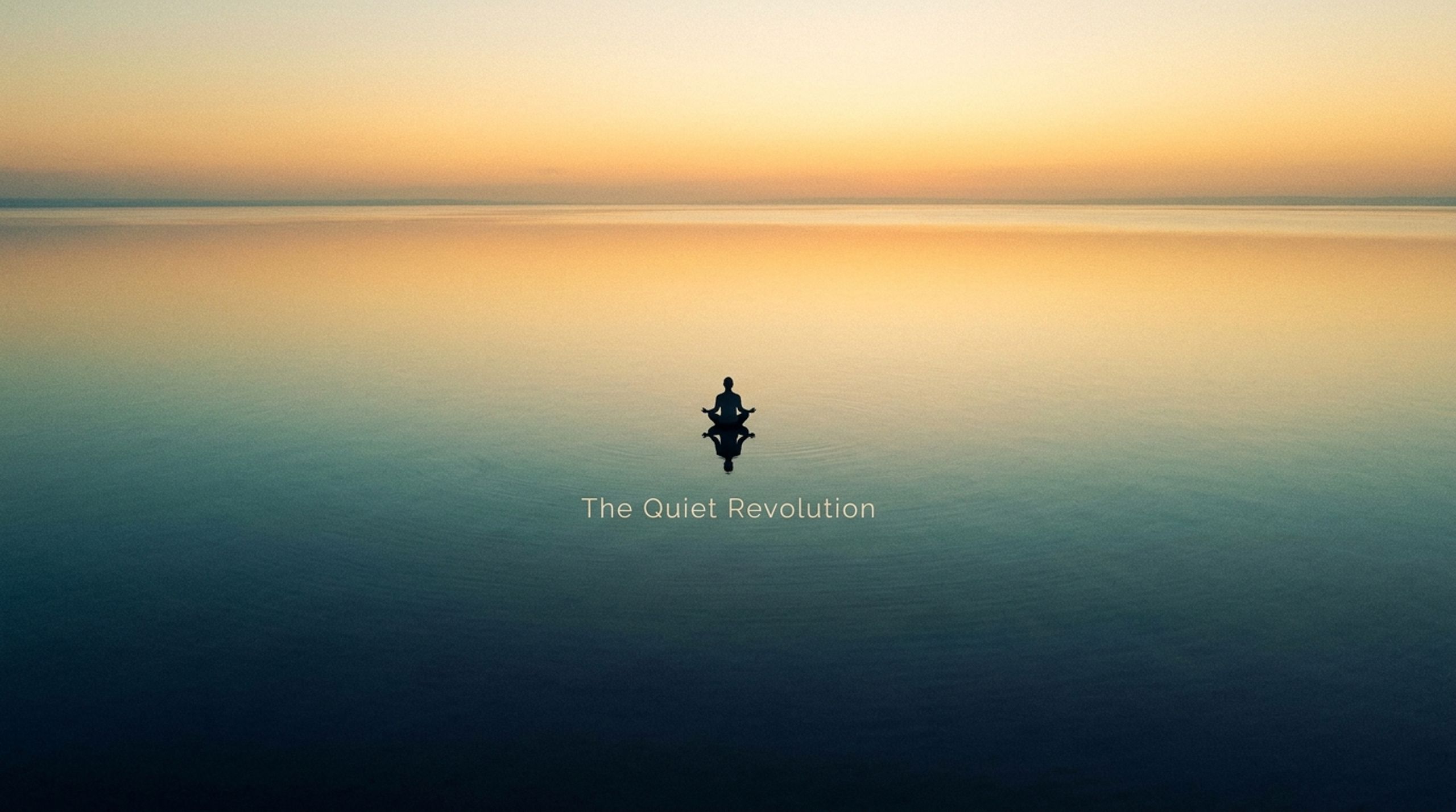 The Quiet Revolution