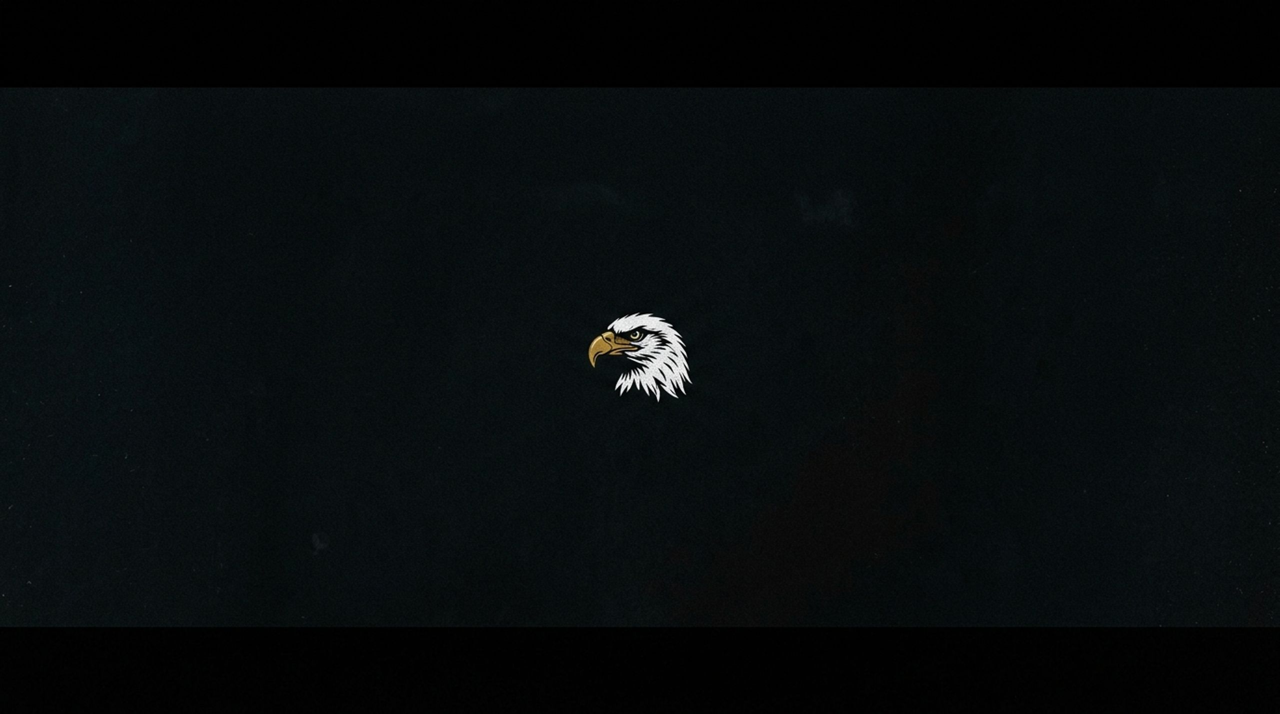 eagles