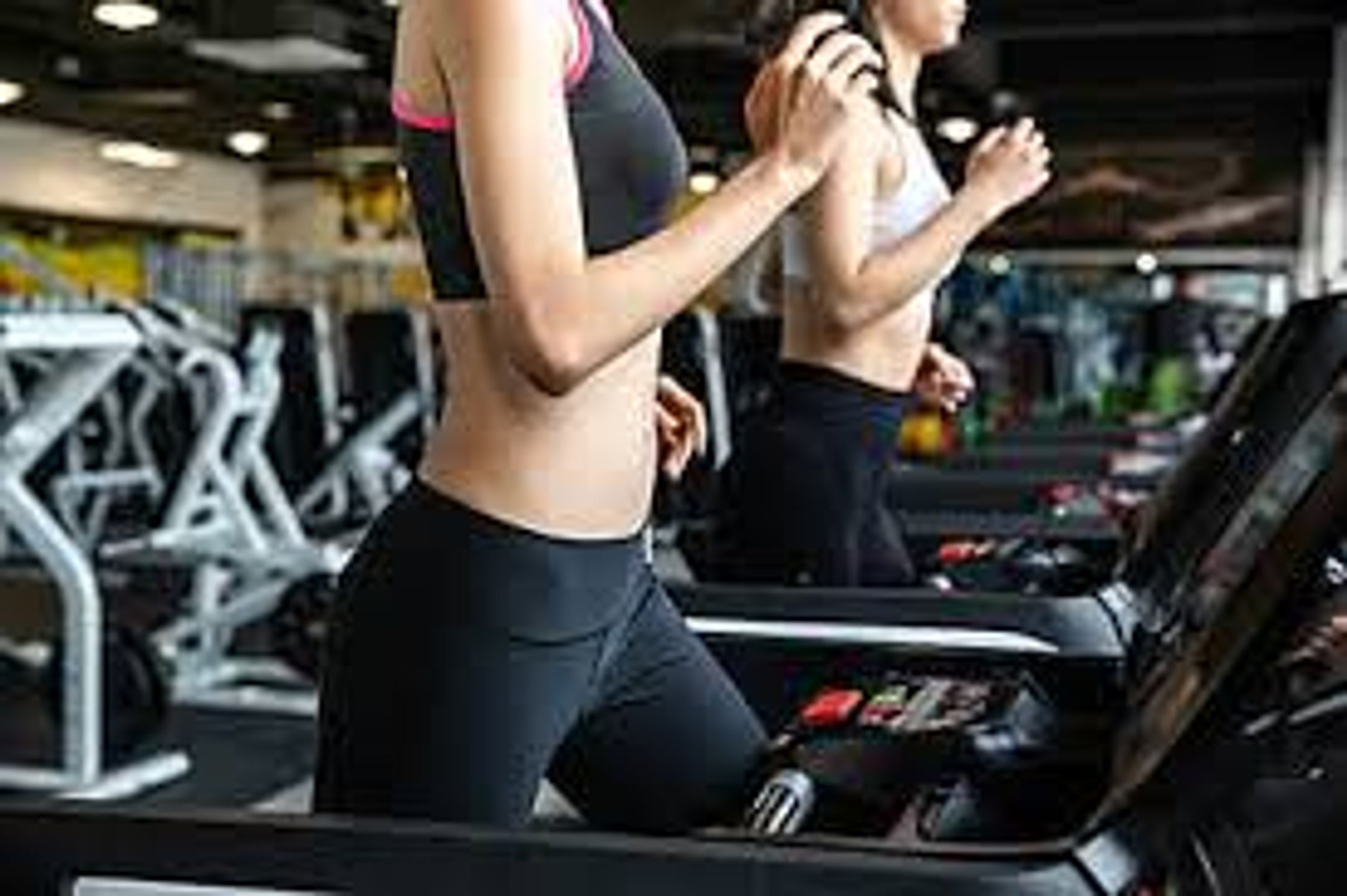 FitHub Elite: Exclusive Fitness