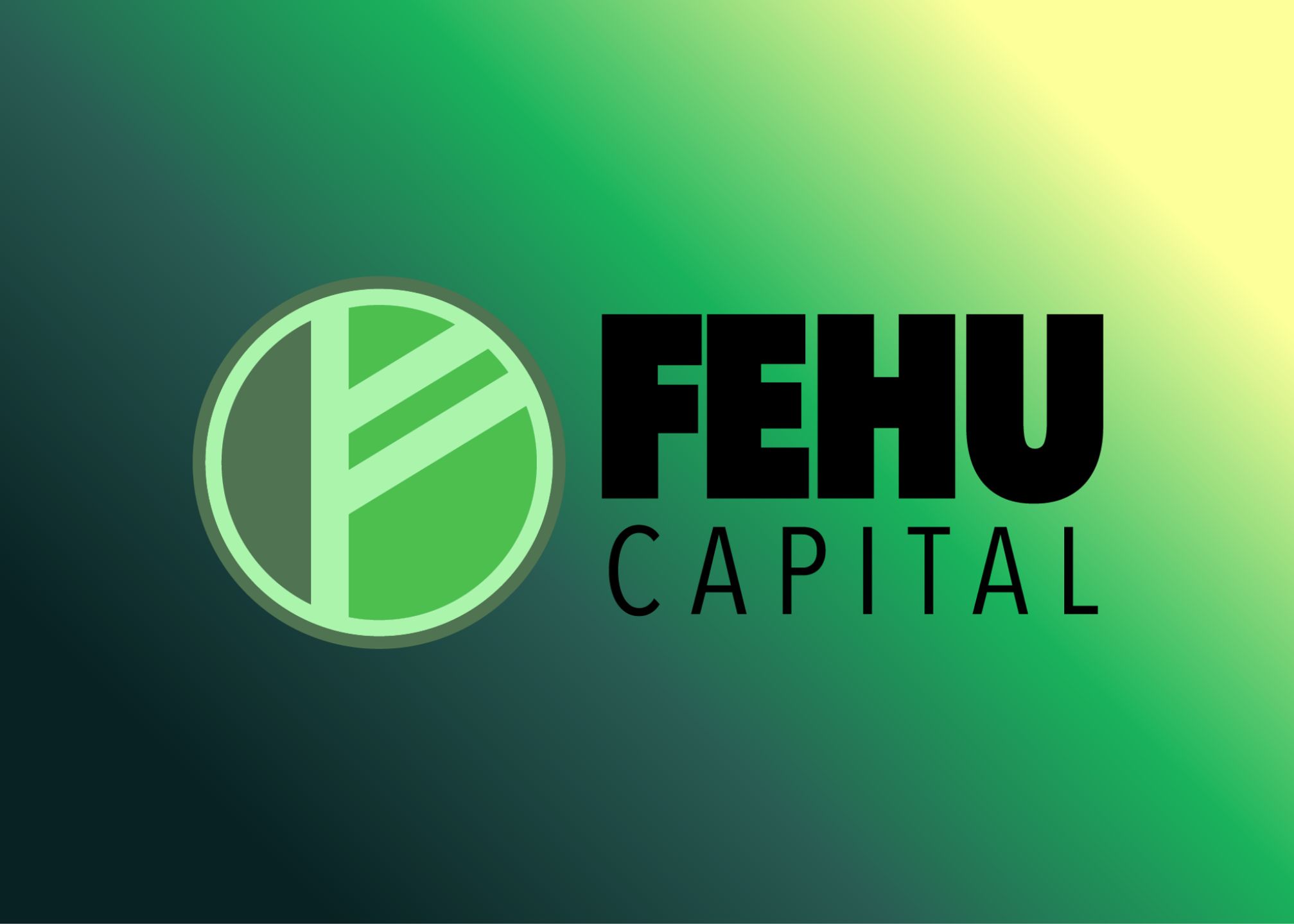 Fehu Capital 