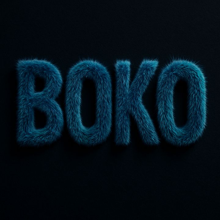 BOKO – Visibilité locale
