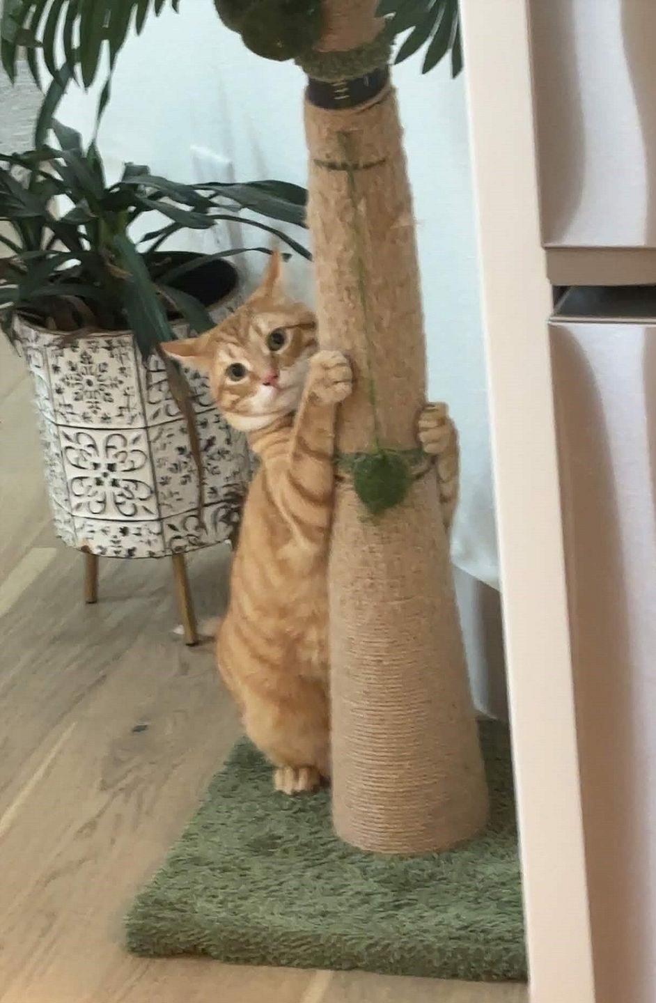 Vertex