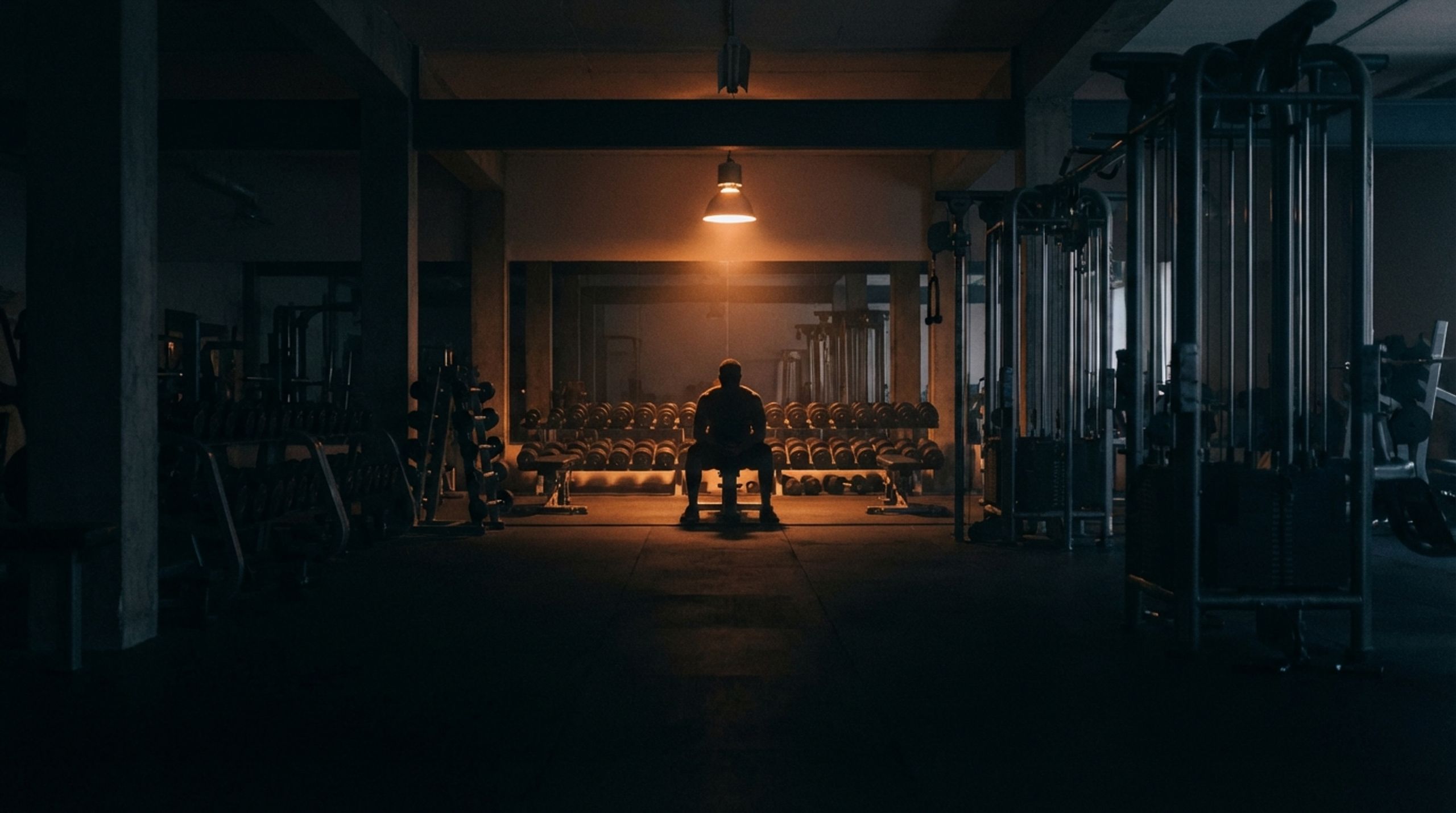FitForge