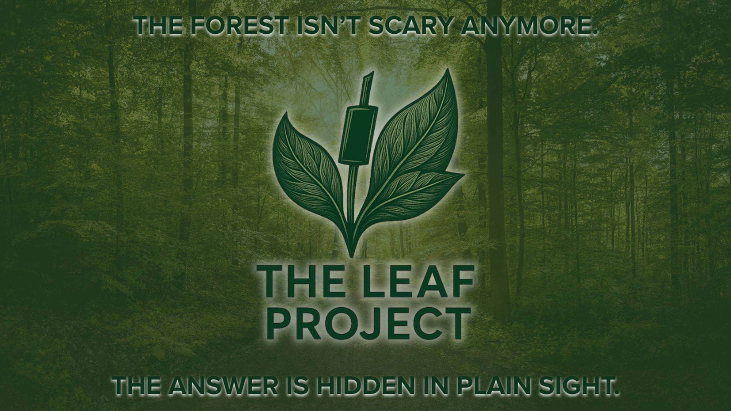 The LeaF Project