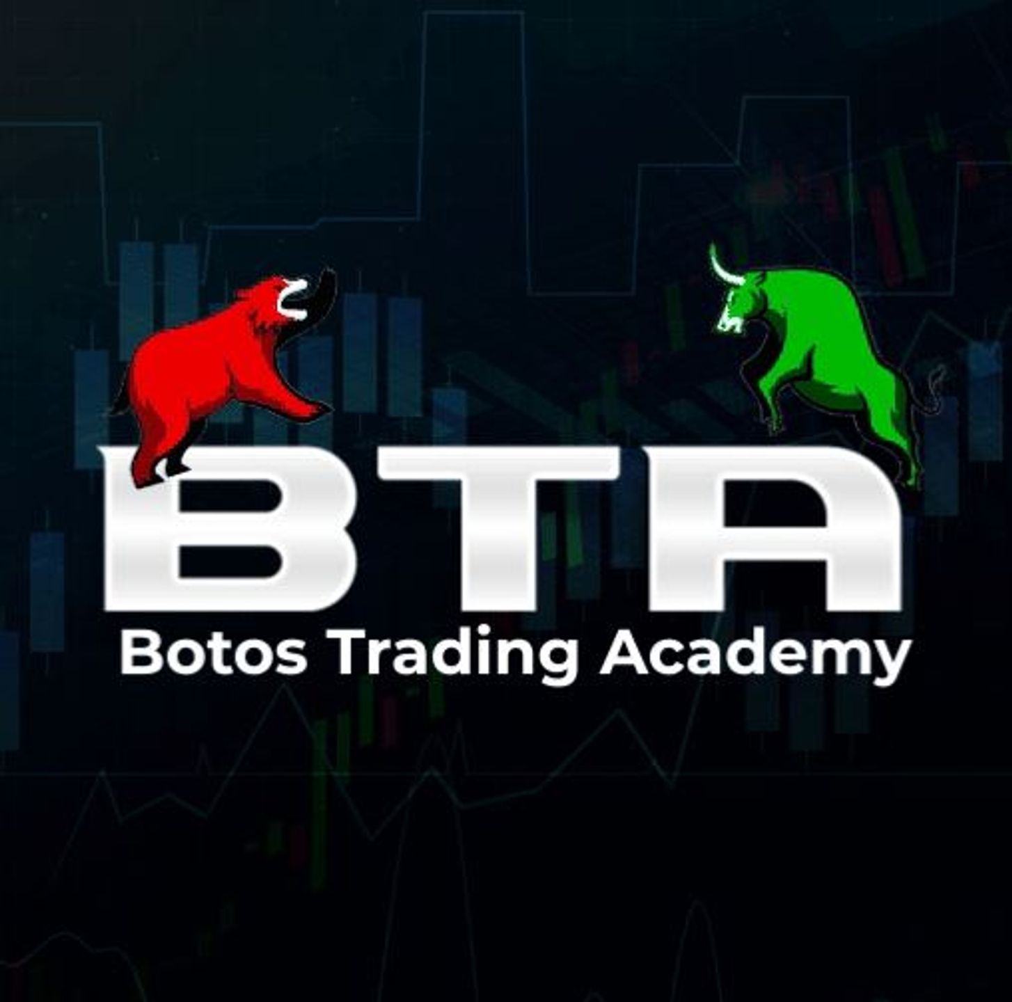 Botos Trading Academy