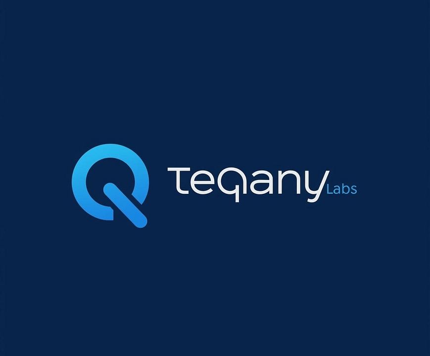 Hamza Teqanylabs