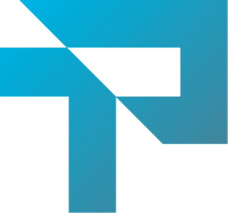 Aesthetic Nation Inc