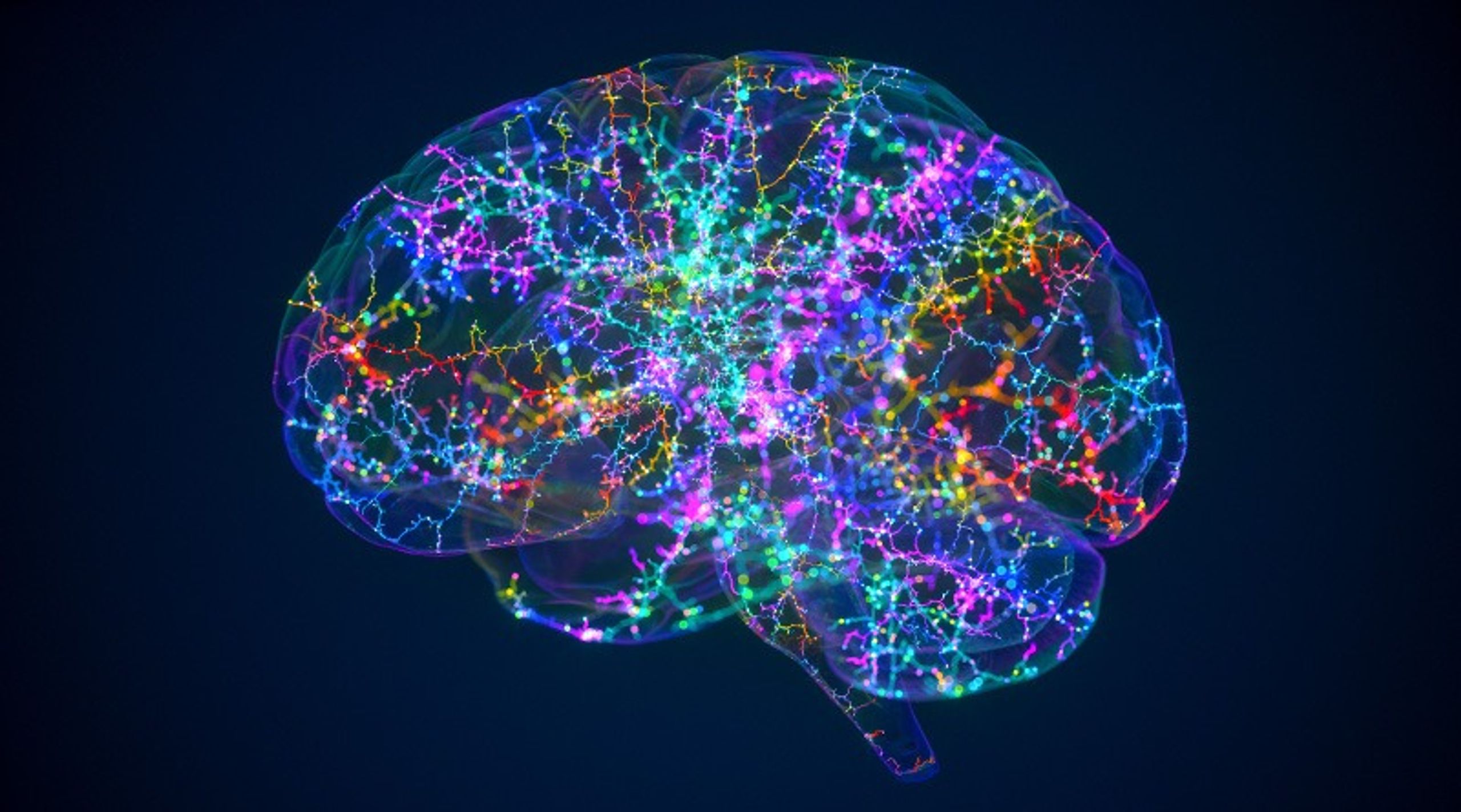 MindNest