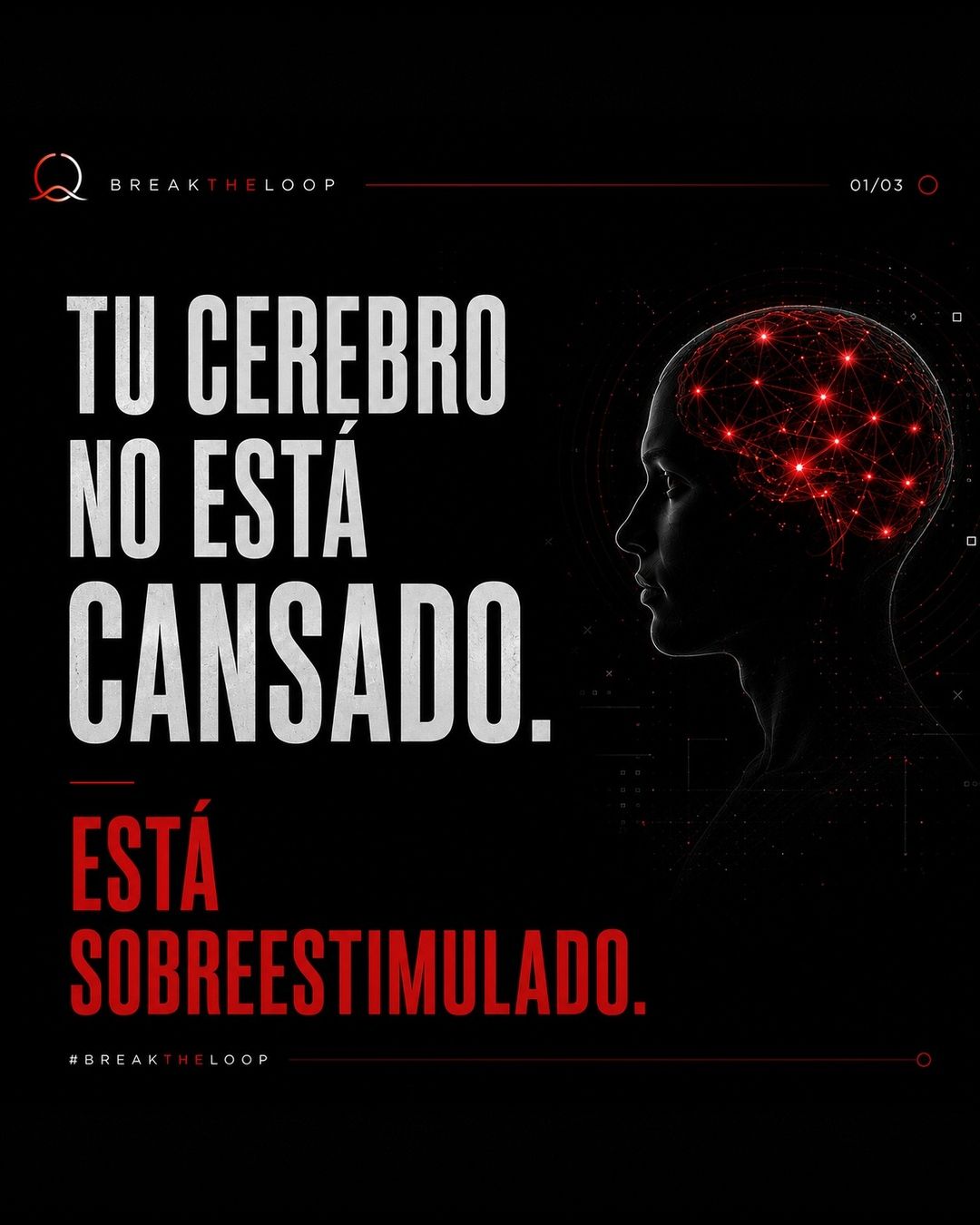 file_VAWWE0apVzorf