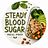 Steady Blood Sugar Meal Prep logo