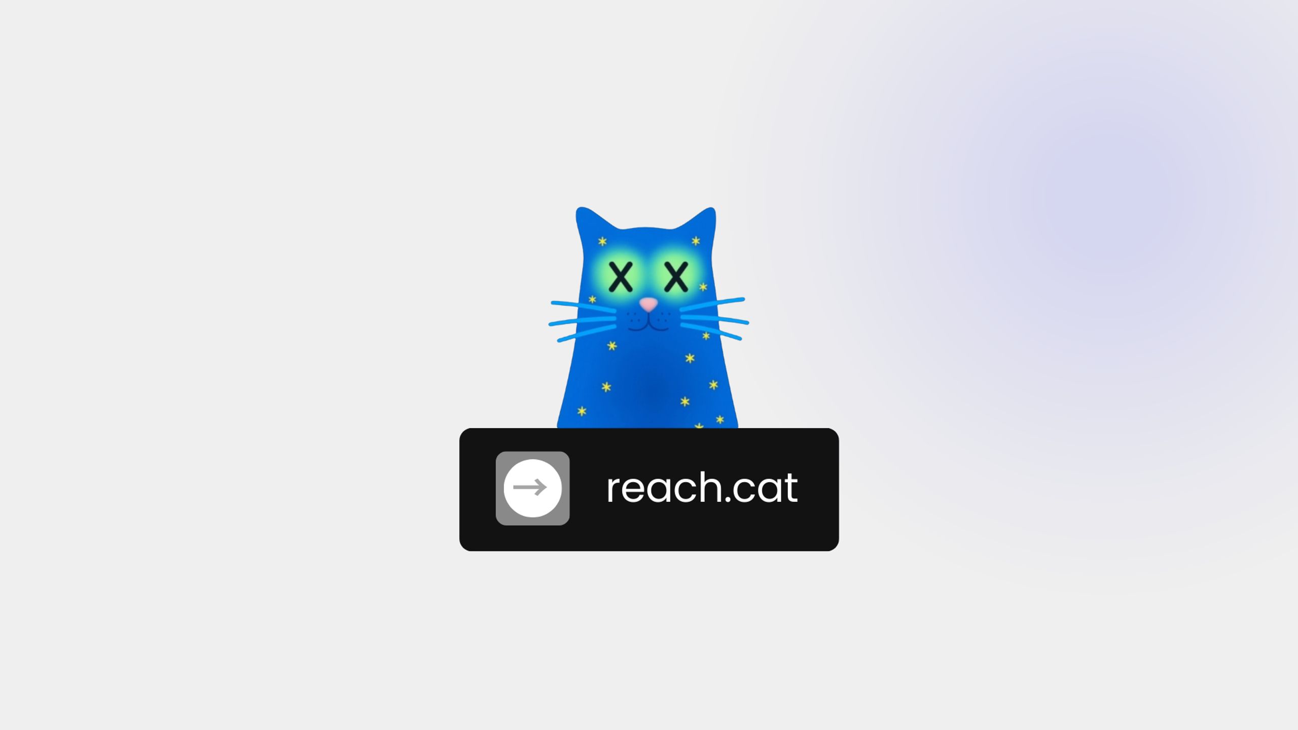Reach.cat | Clipping Platform