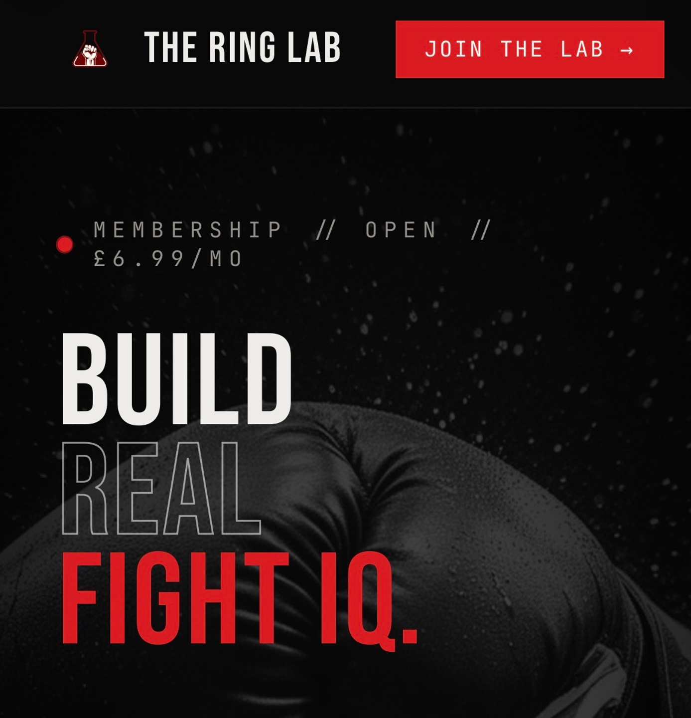 TheRingLab