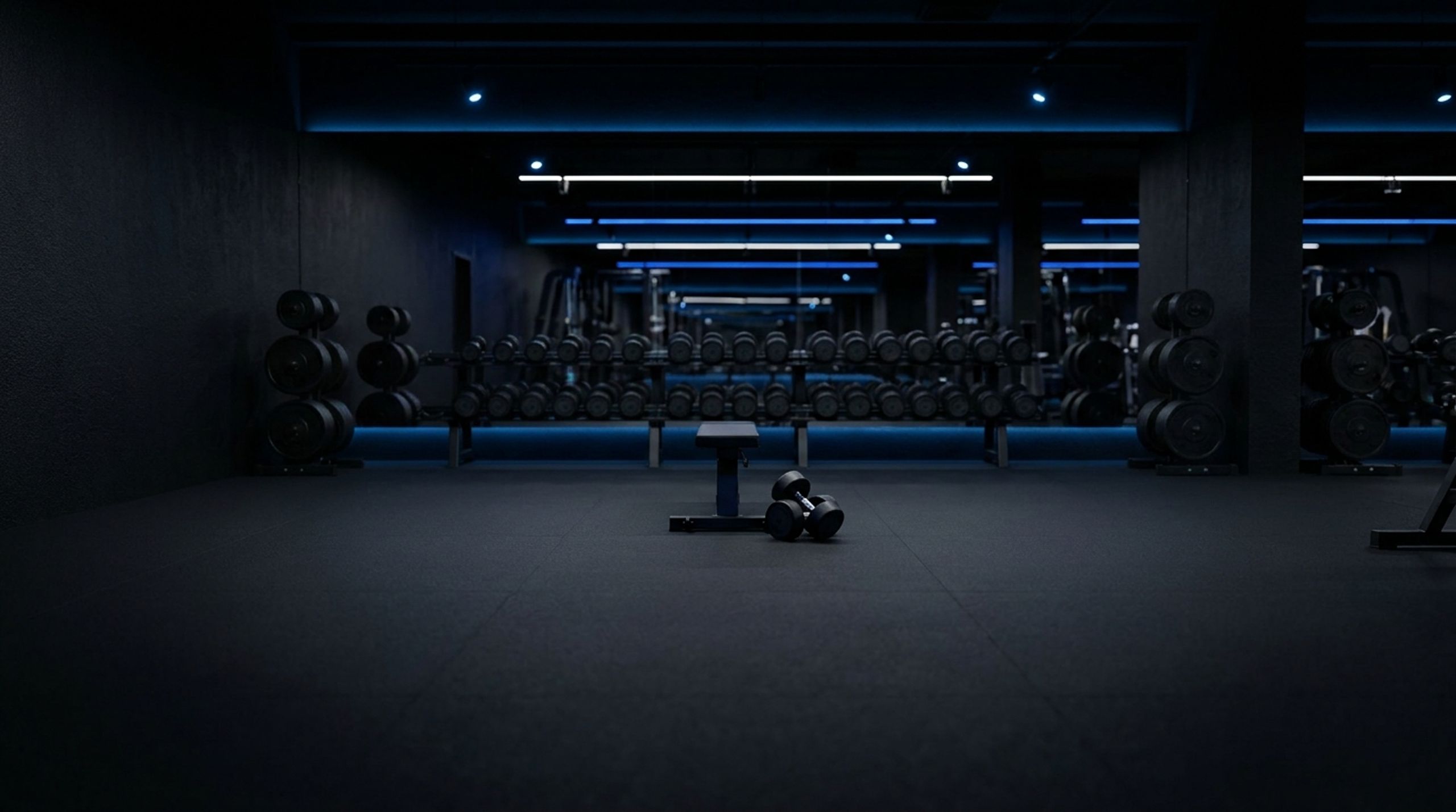Fred’s Fitness Hub
