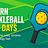 LearnPickleball logo