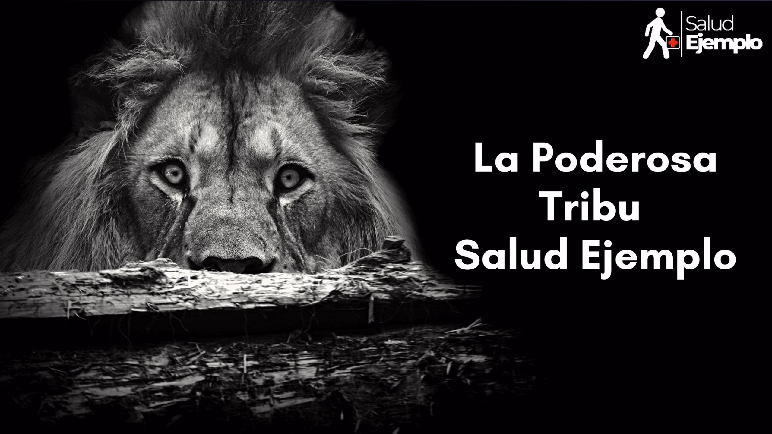 Salud Ejemplo