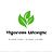 Vigorous Lifestyle Circle logo