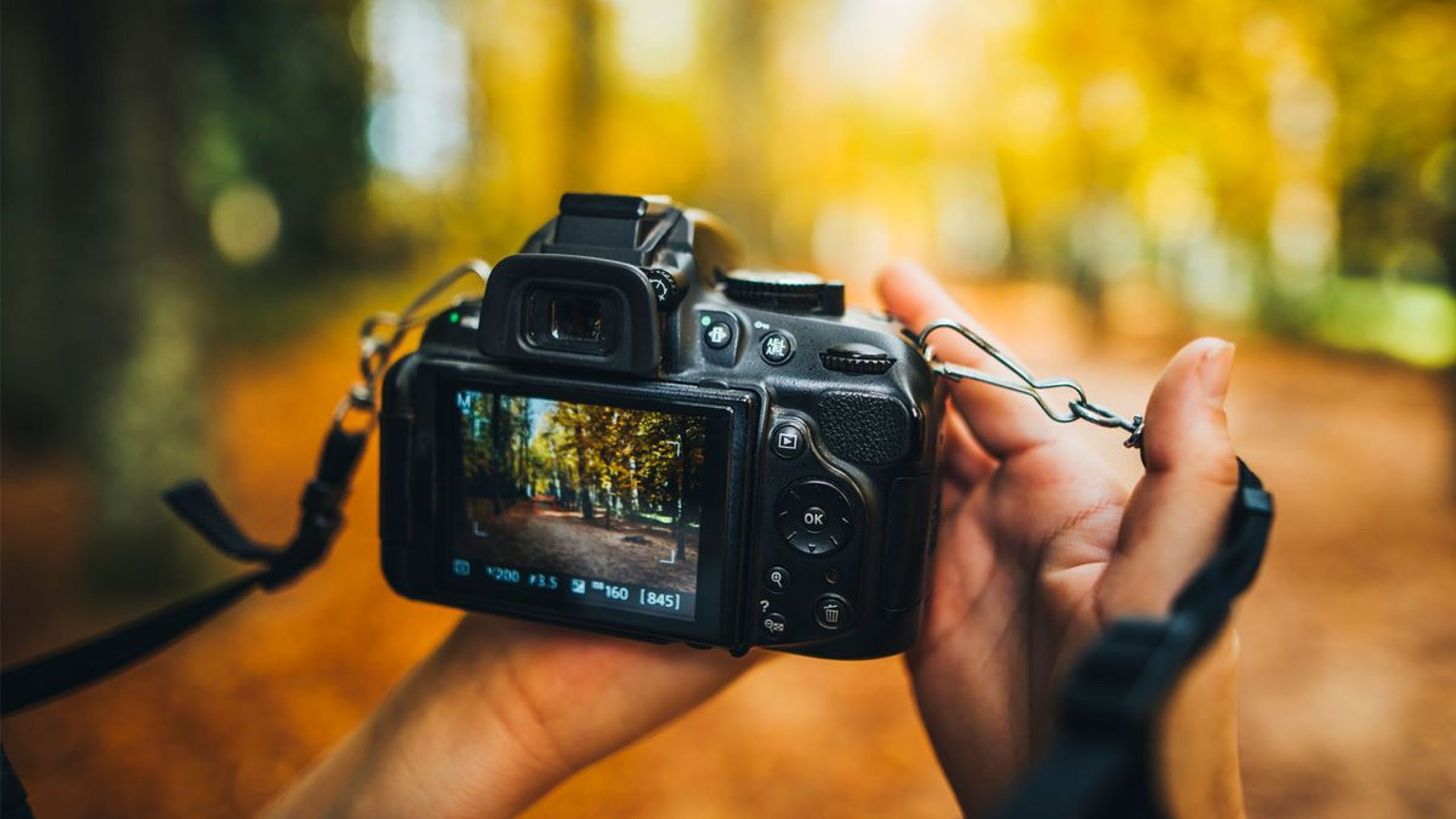 CreativeFilmz