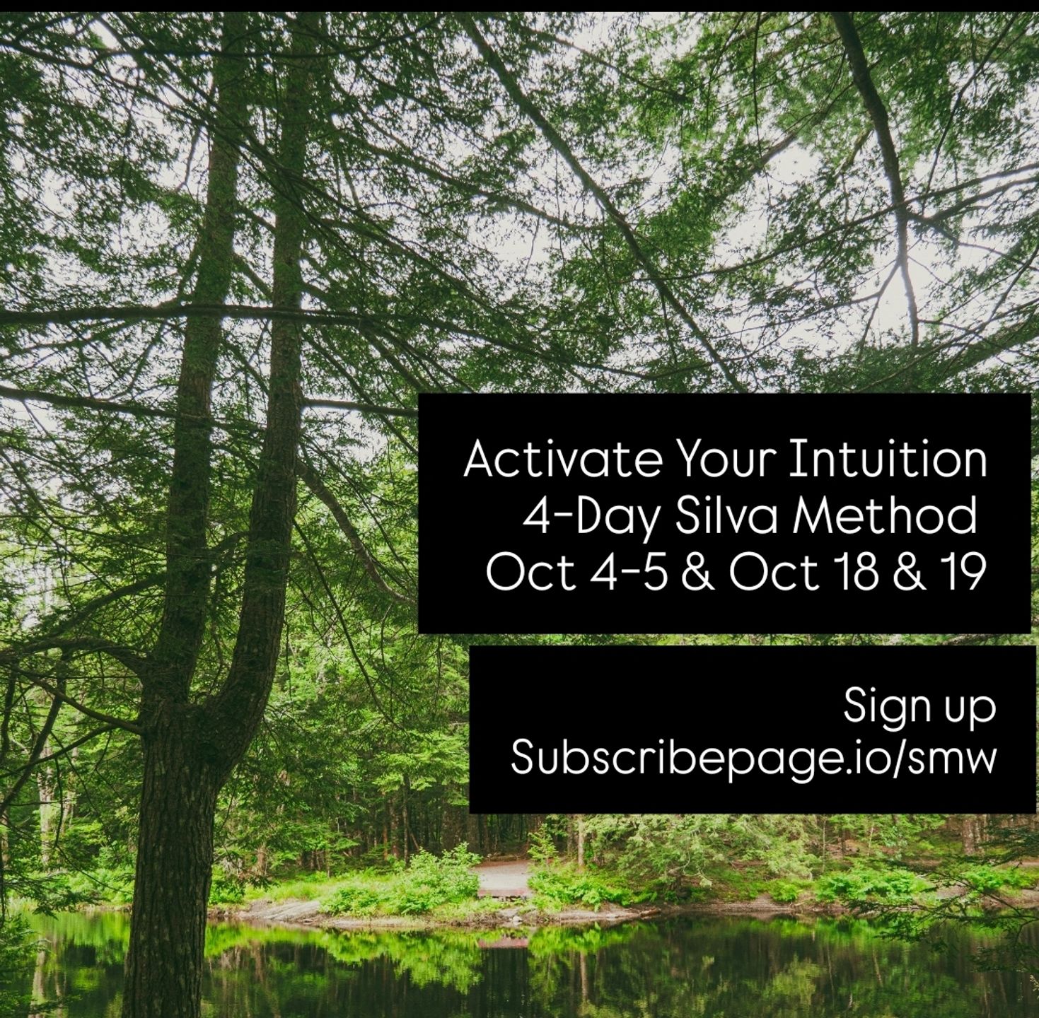 Activate Your Intuition w/Cate