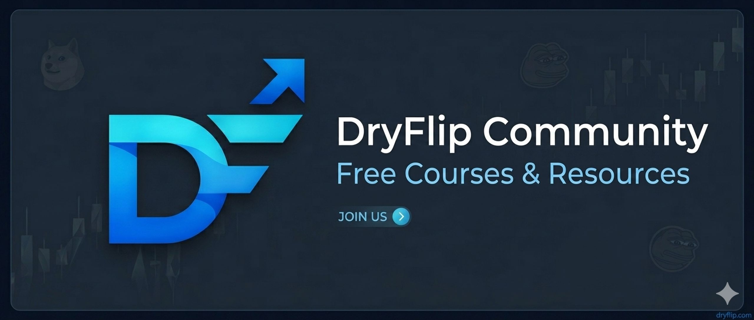 DryFlip
