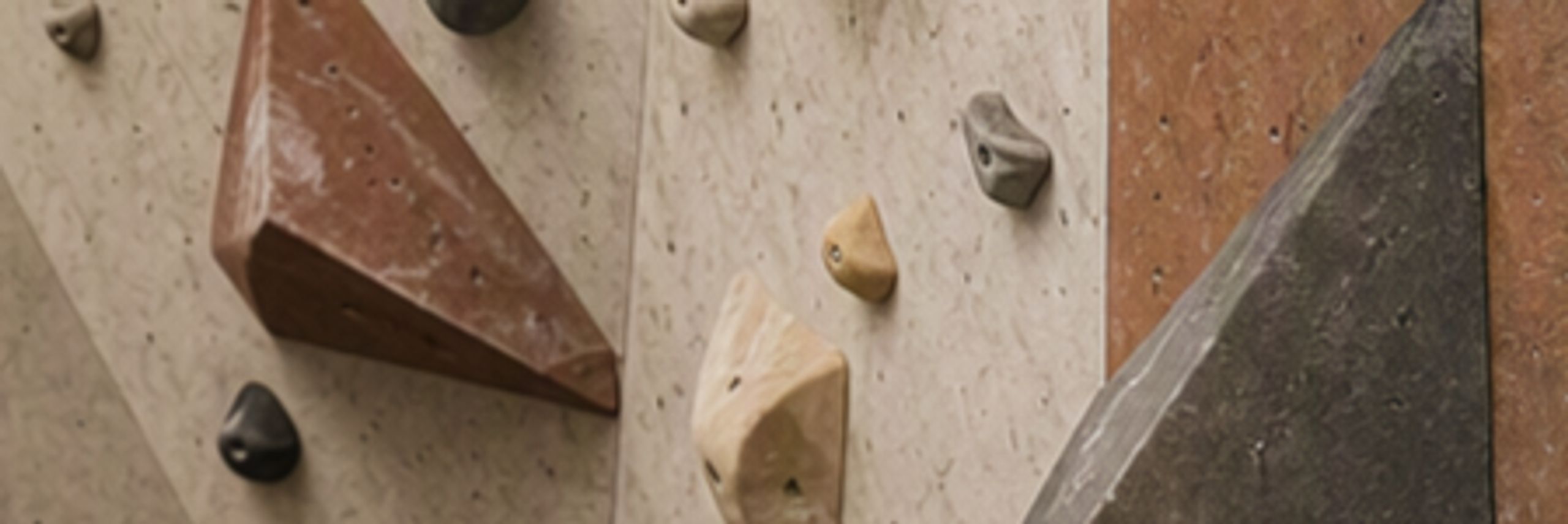 Climbing Wall Guides