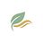 VitalWell Collective logo