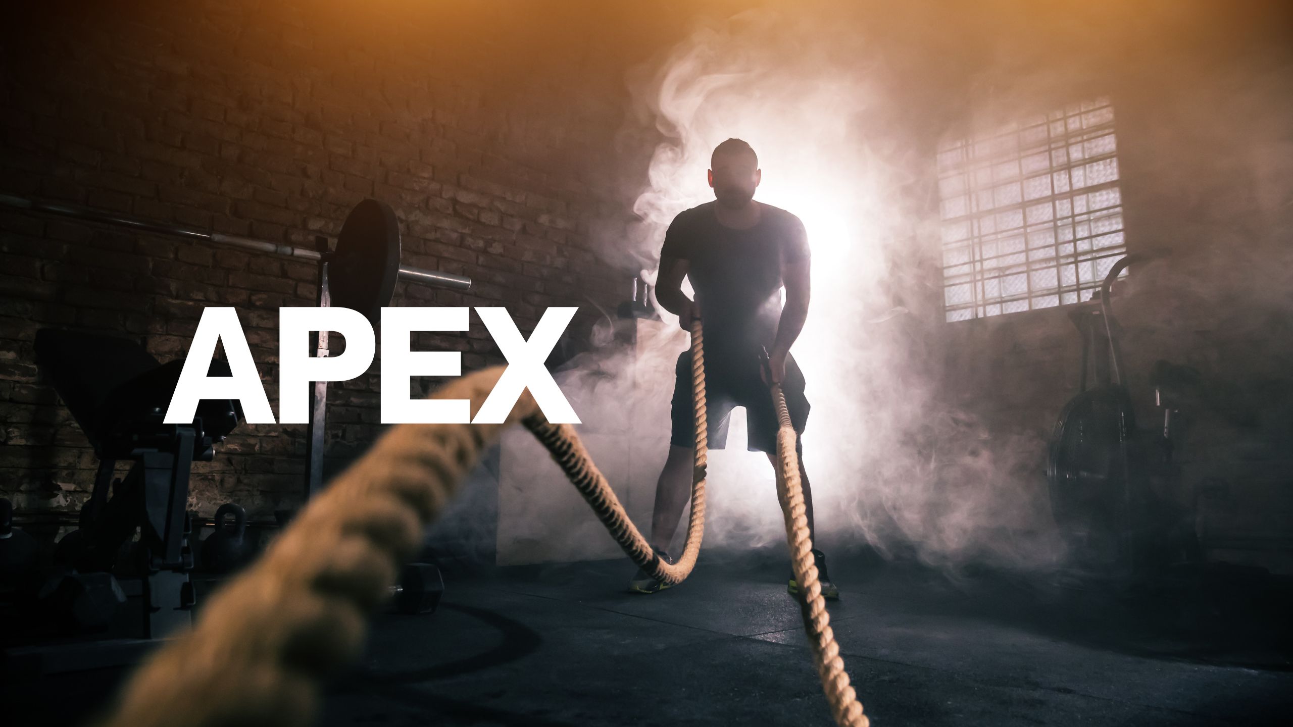 APEX Store