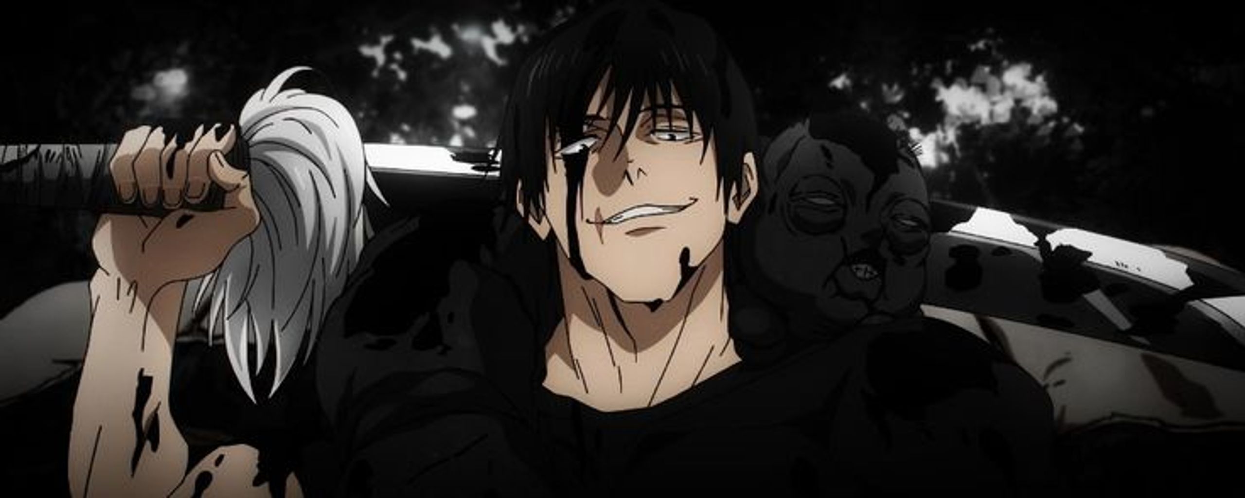 Anime Physiques
