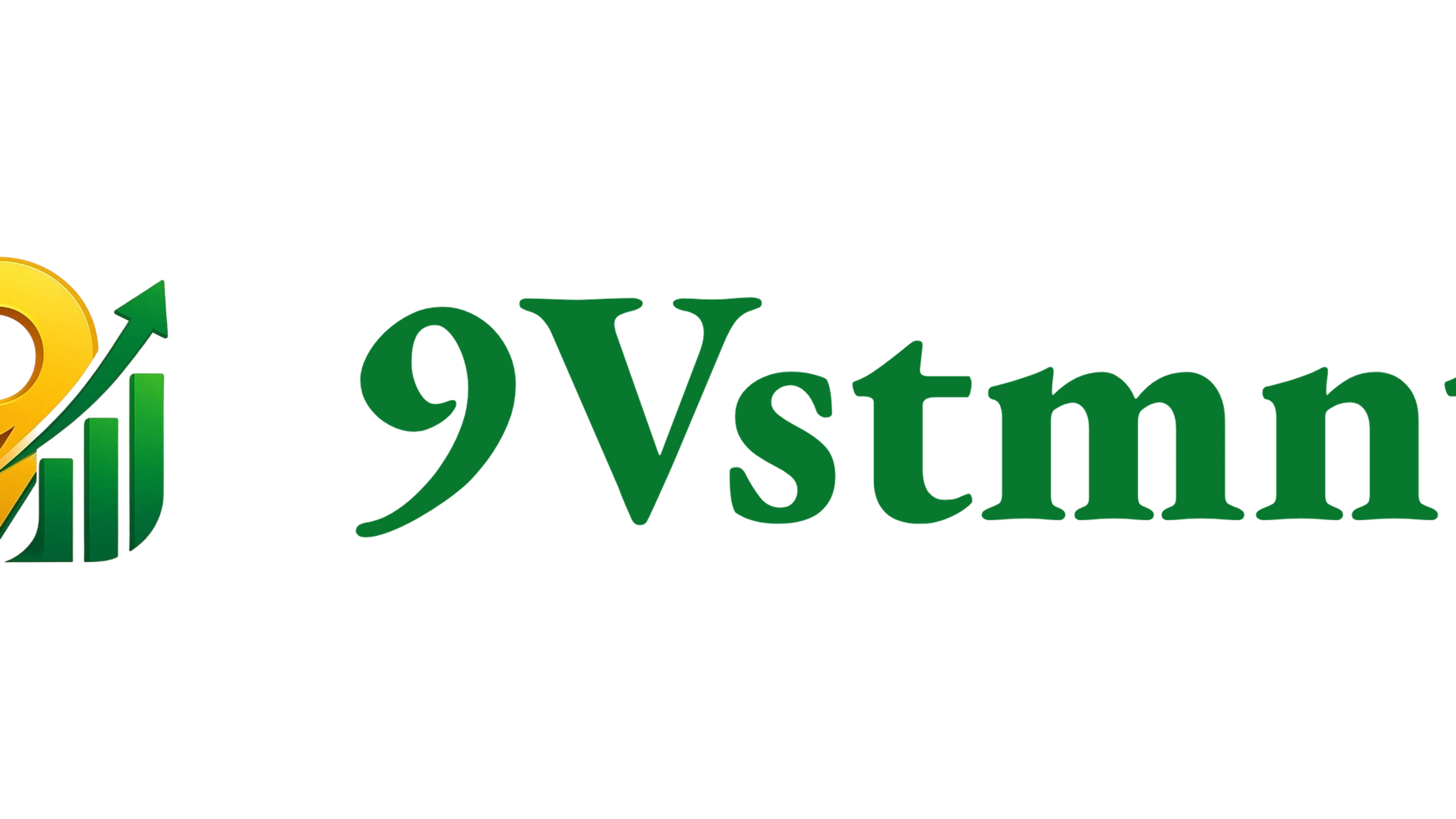 9vstmntgroup.com