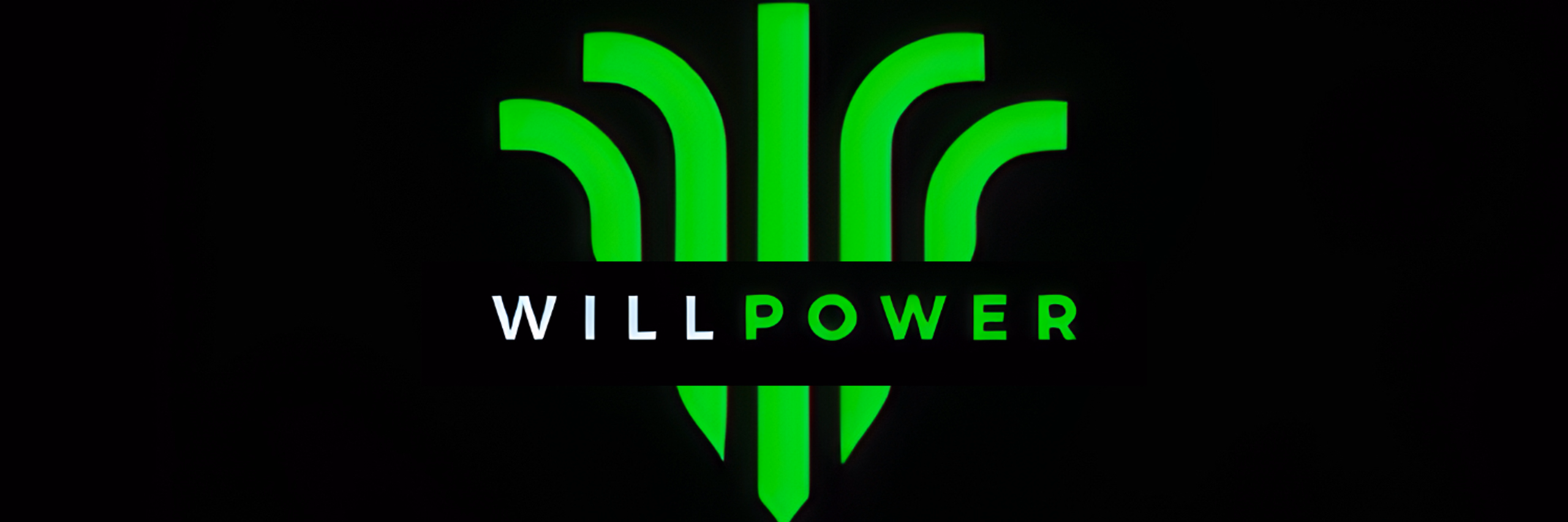 WillPower Trading