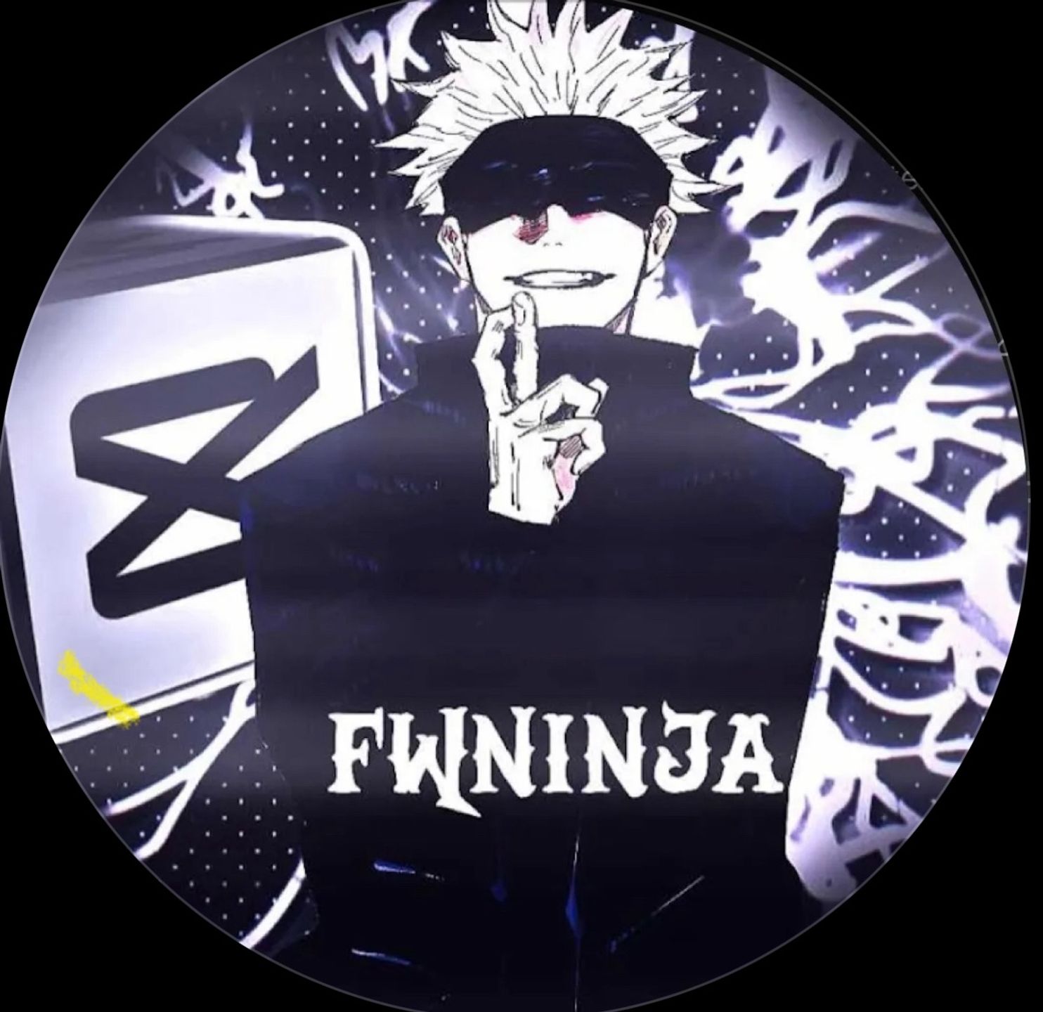FWNinja Visuals