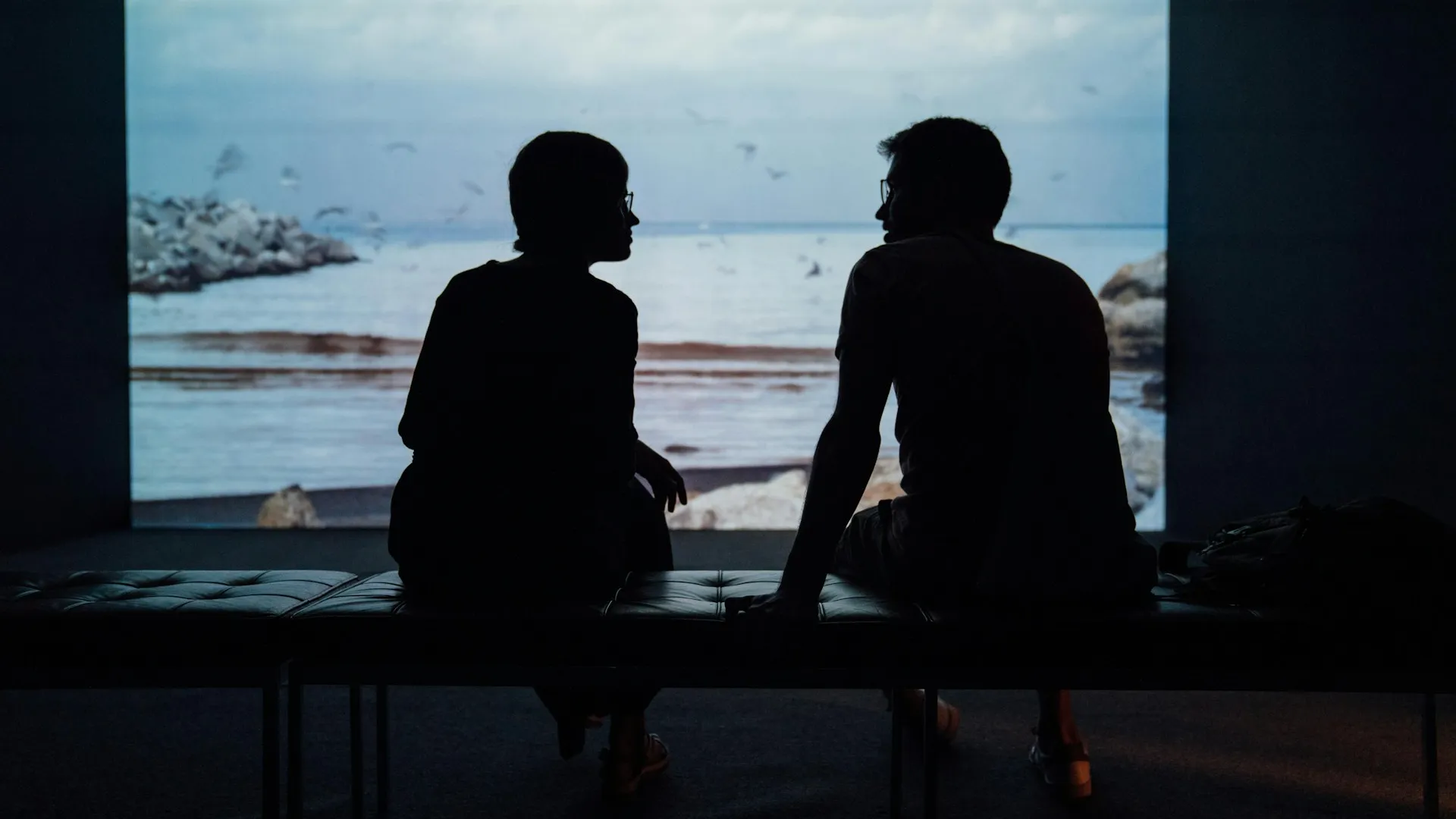 Cover of Partners: Clarifying Texts without Arguing over Meaning