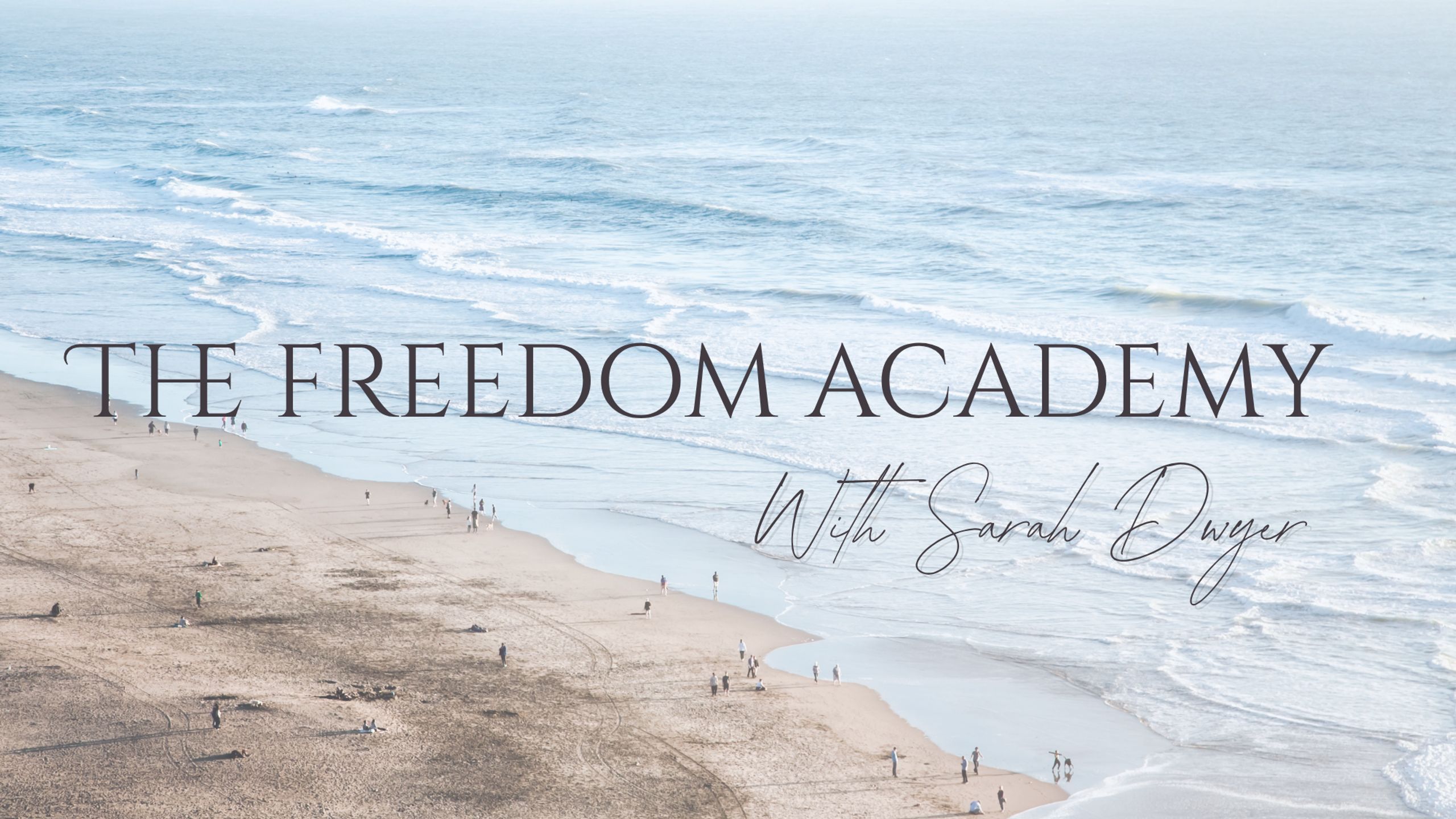 The Freedom Academy