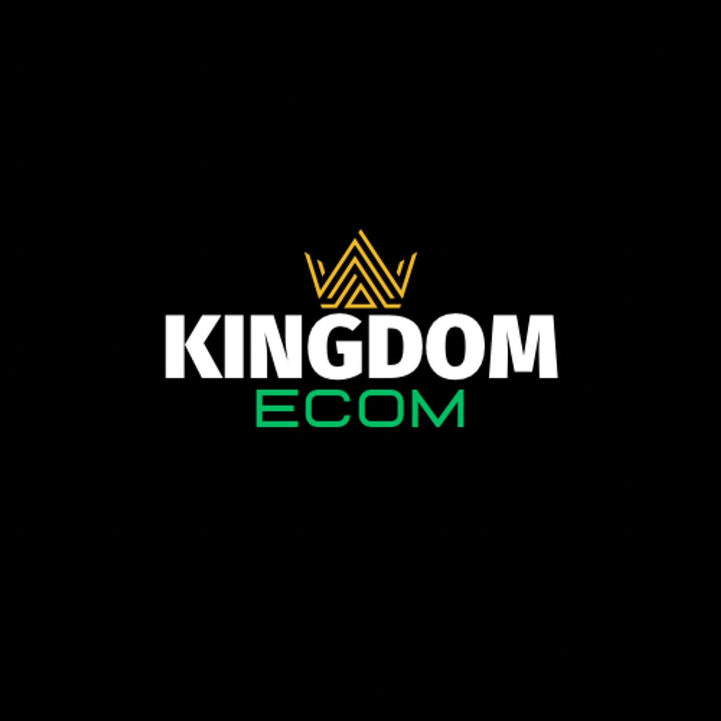 6 Figure Ecom Bot