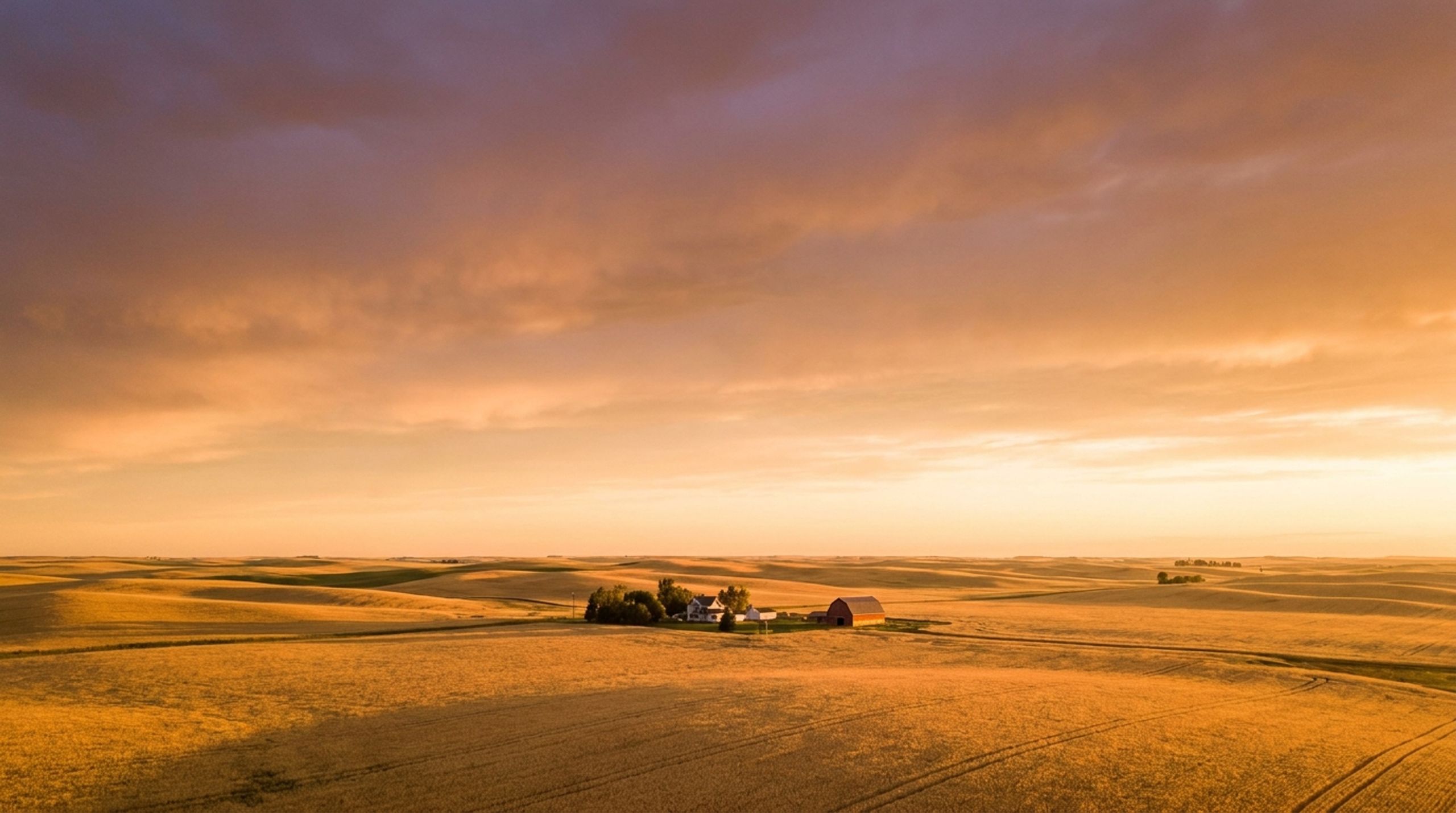 Harvest CFO