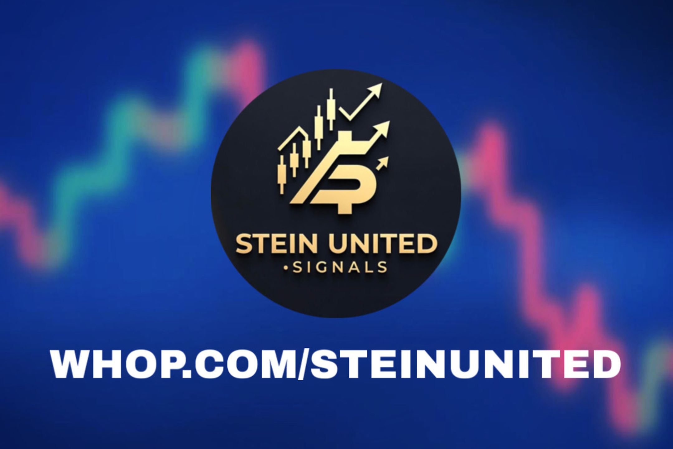 SteinUnited Signals