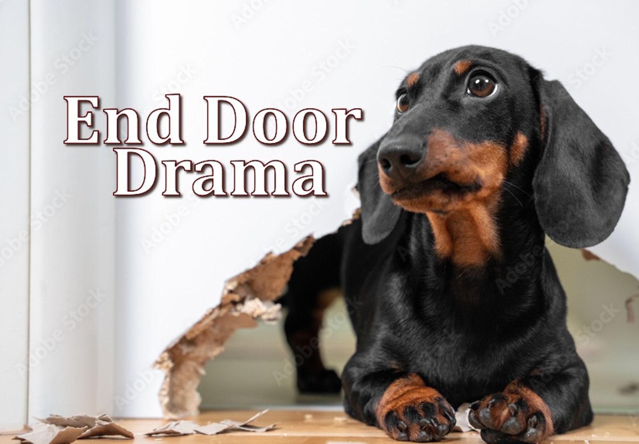 8 Minute 'Pet' Door Boundary Blueprint