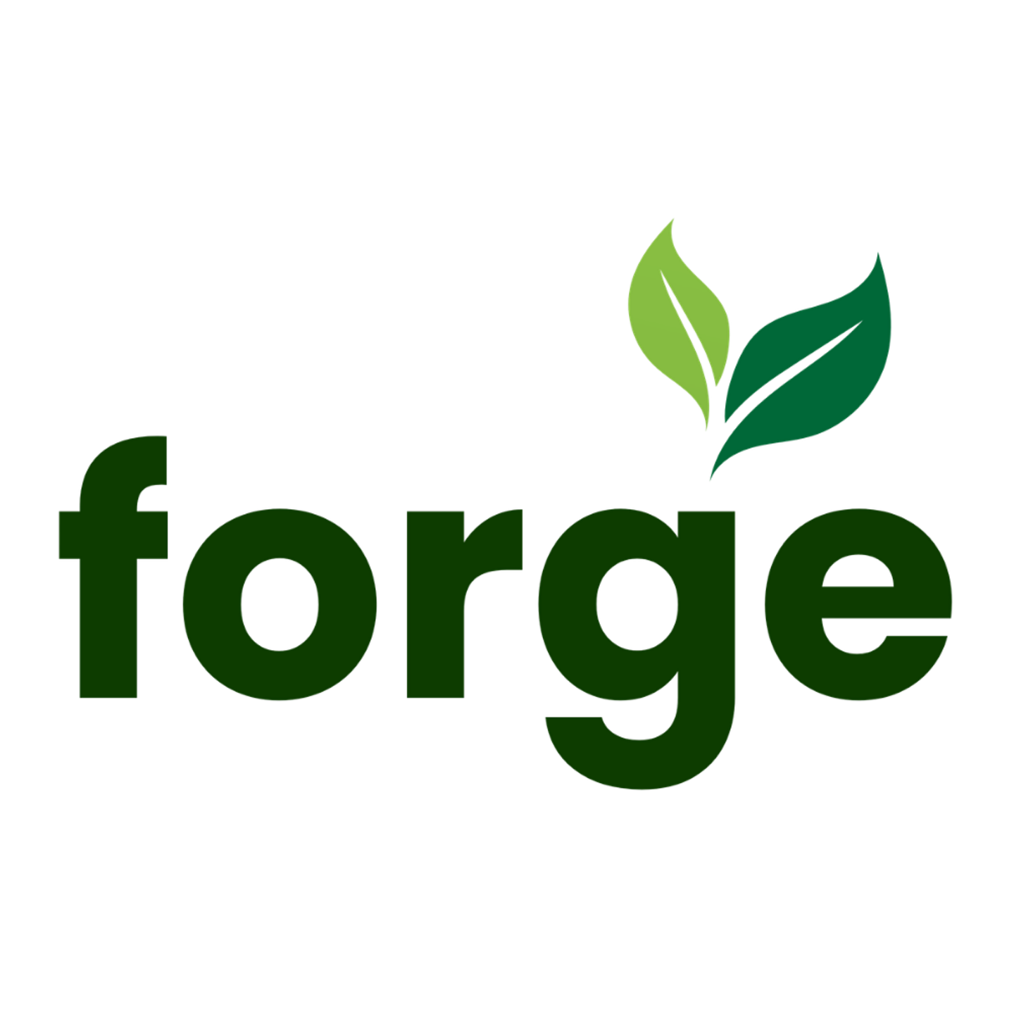 ForgeLeads
