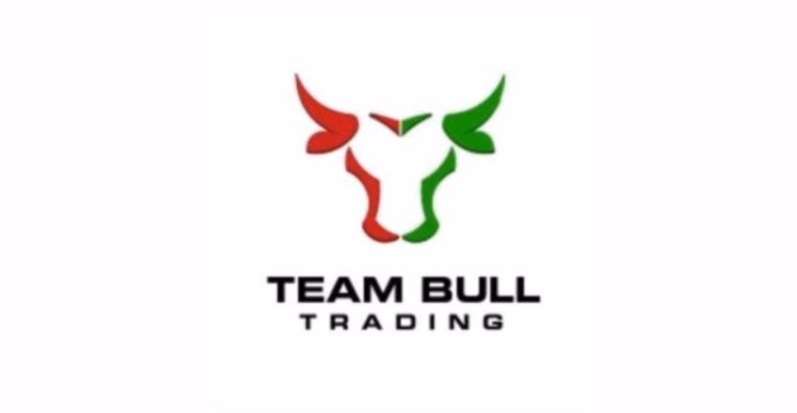 Team Bull Trading Master Mentor Program