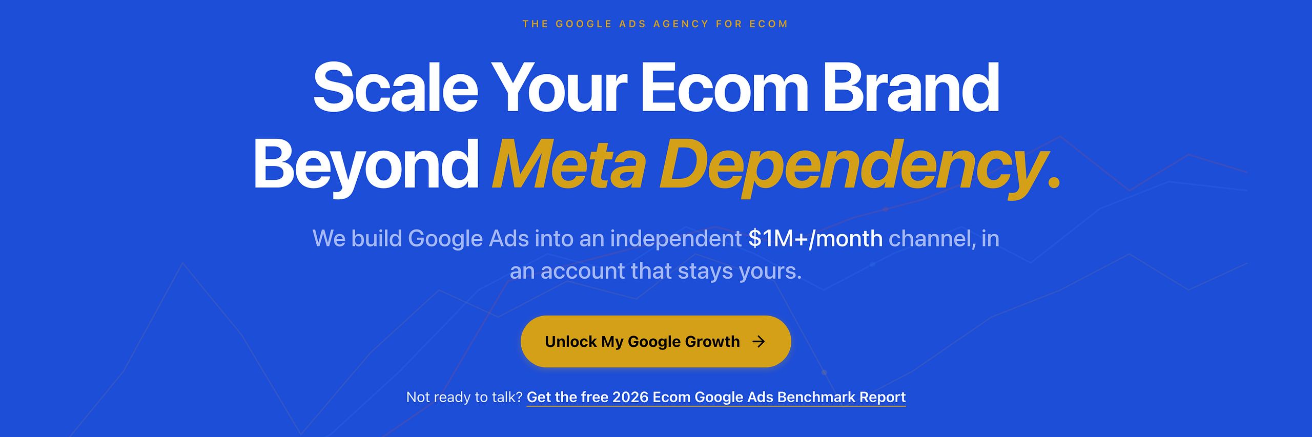 Shopiator Google Ads Agency