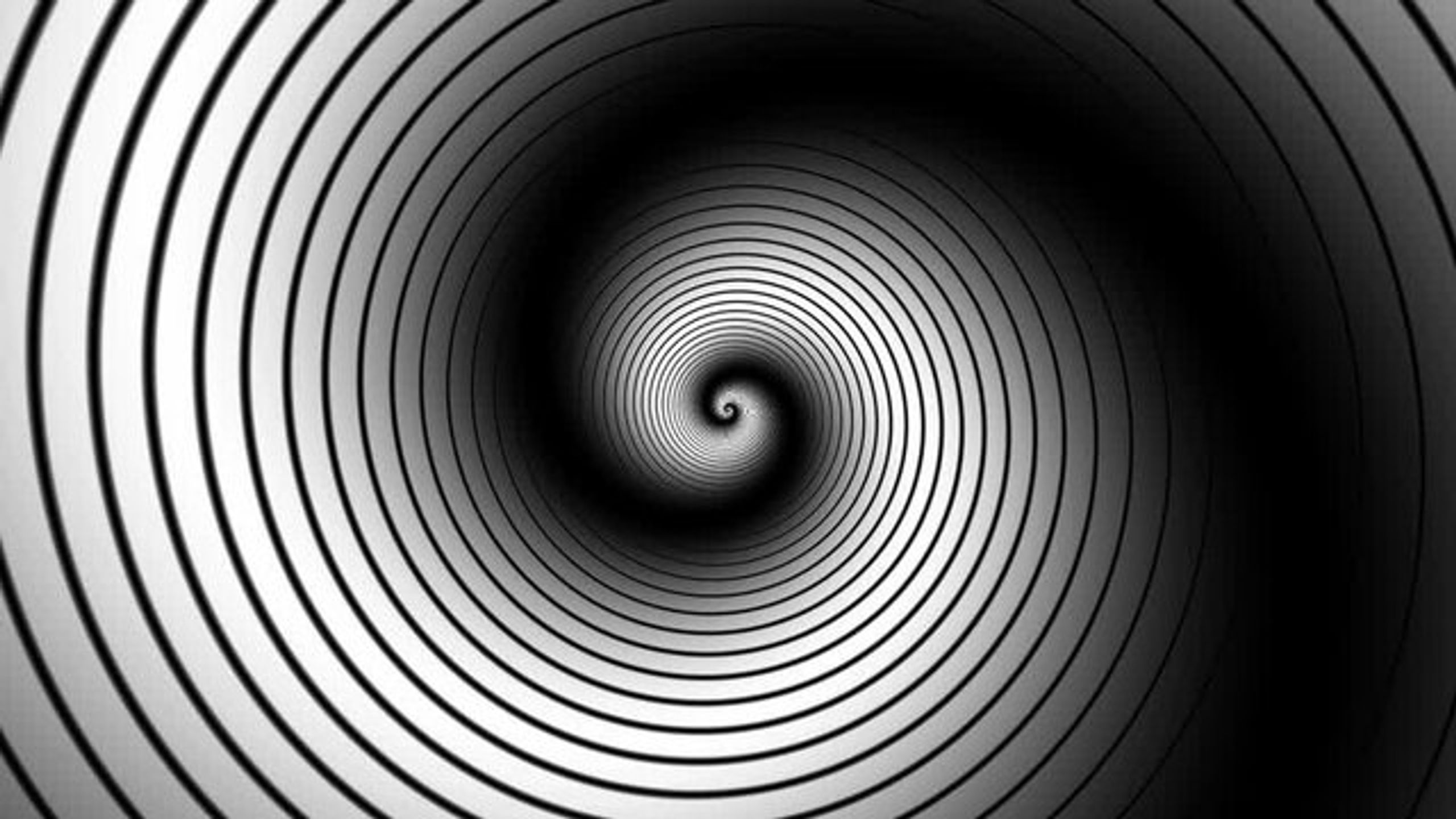 The Rabbit Hole