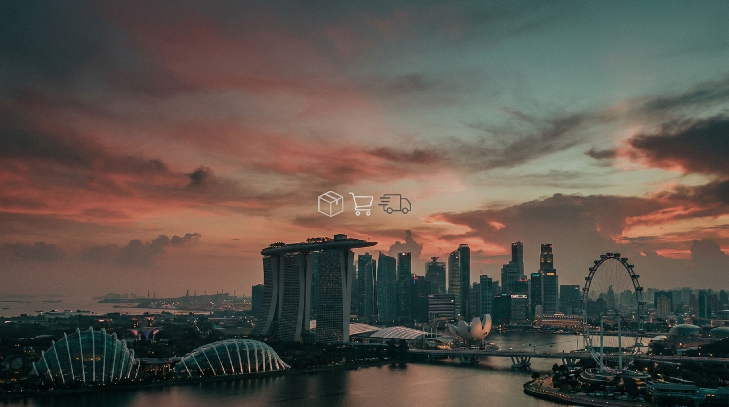 Singaporean Ecommerce