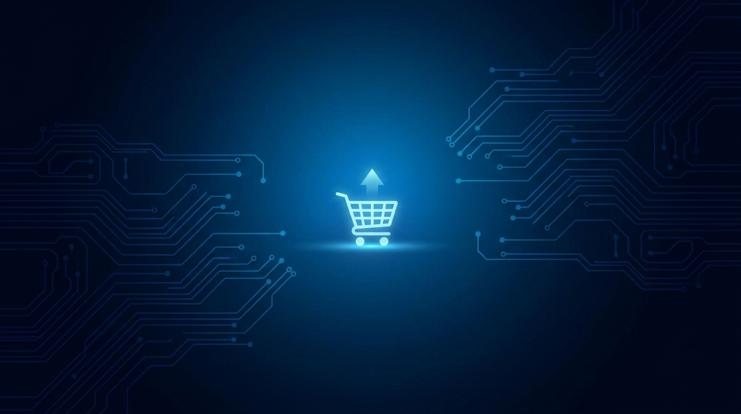 Ecom Blueprint