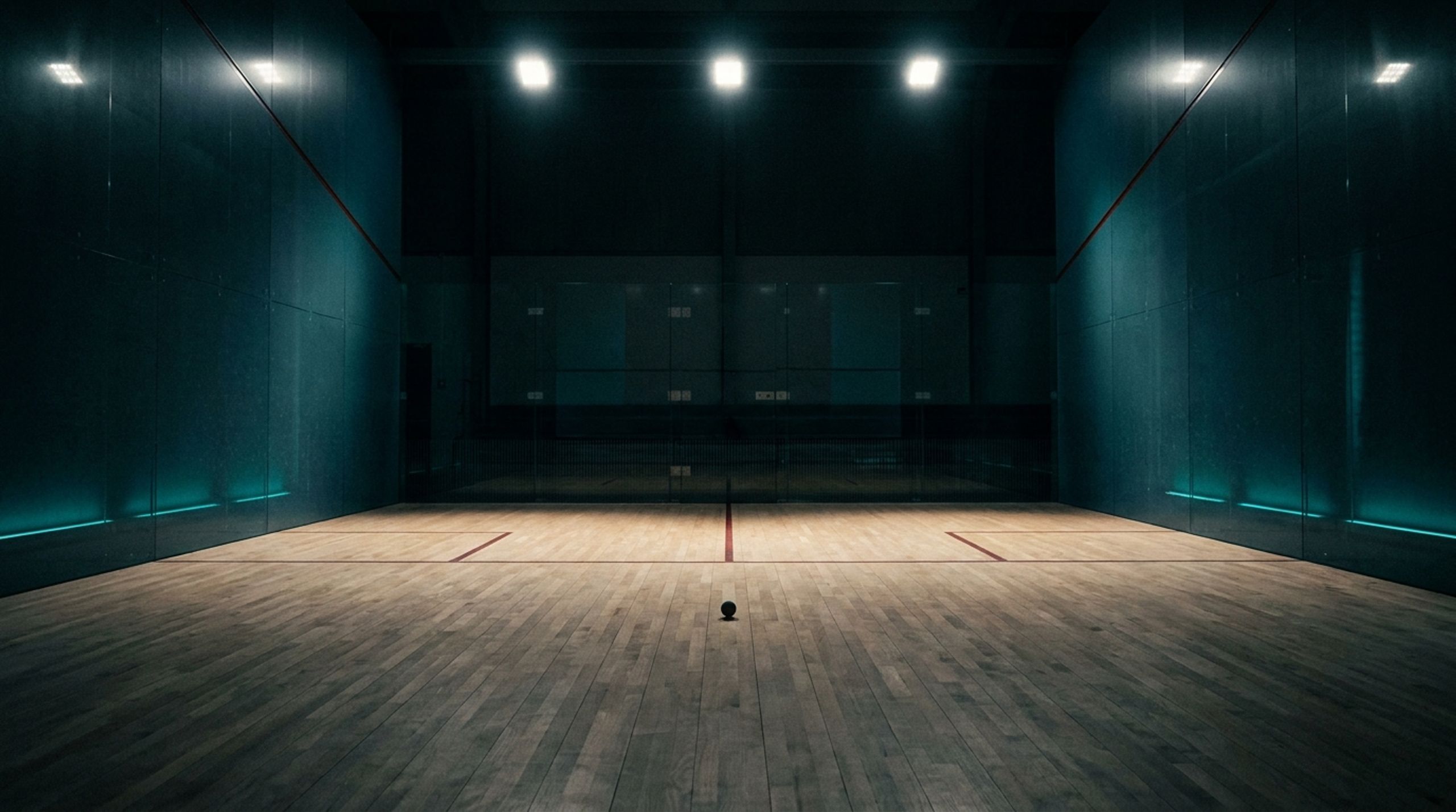 CourtDive Squash