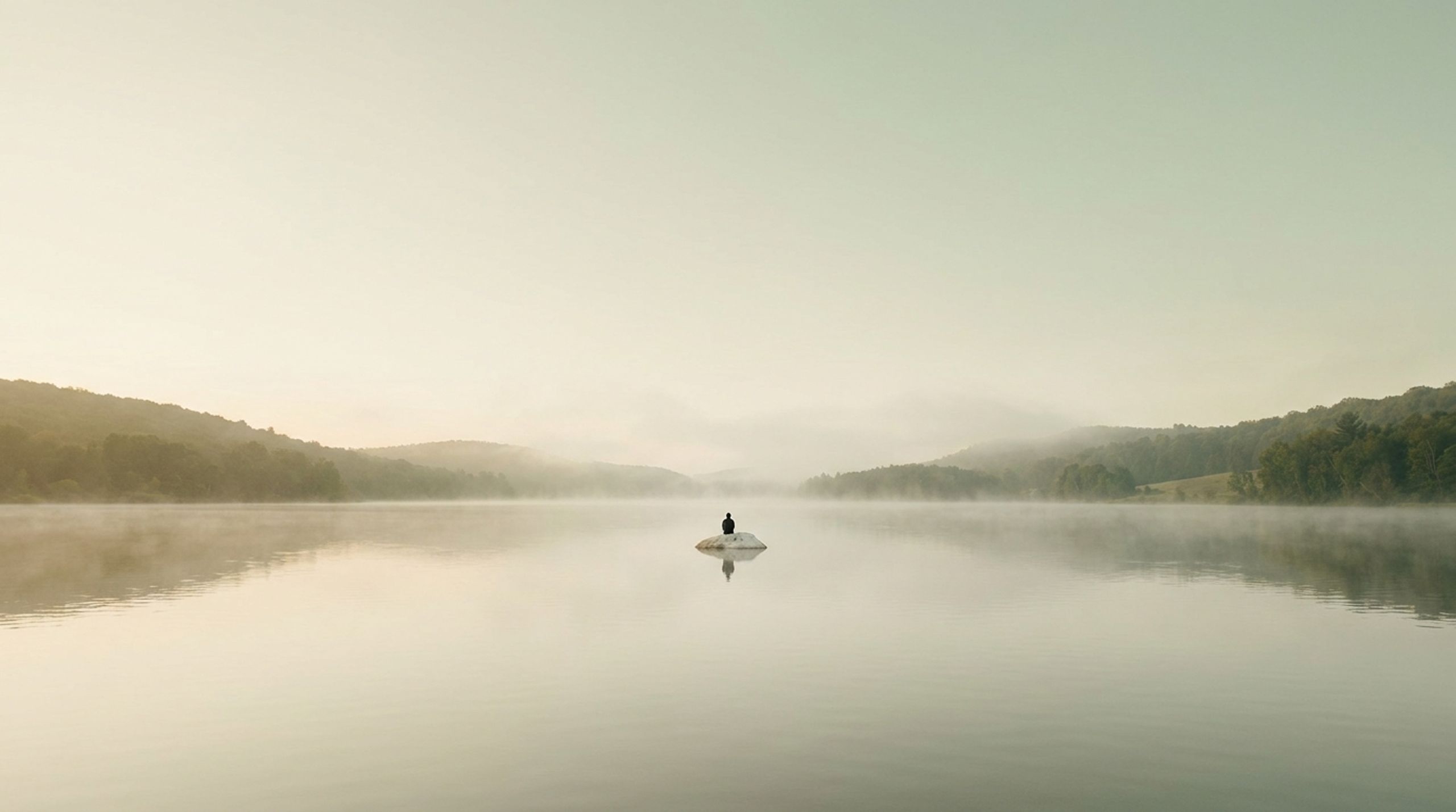 Calm Protocol