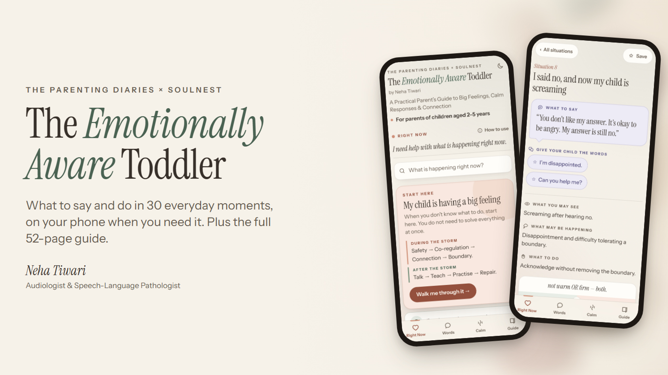 The Parenting Diaries