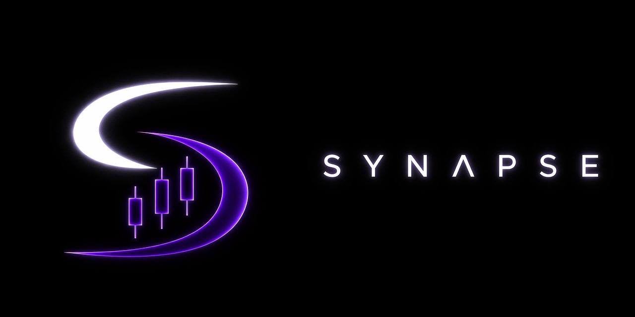 Synapse Bot