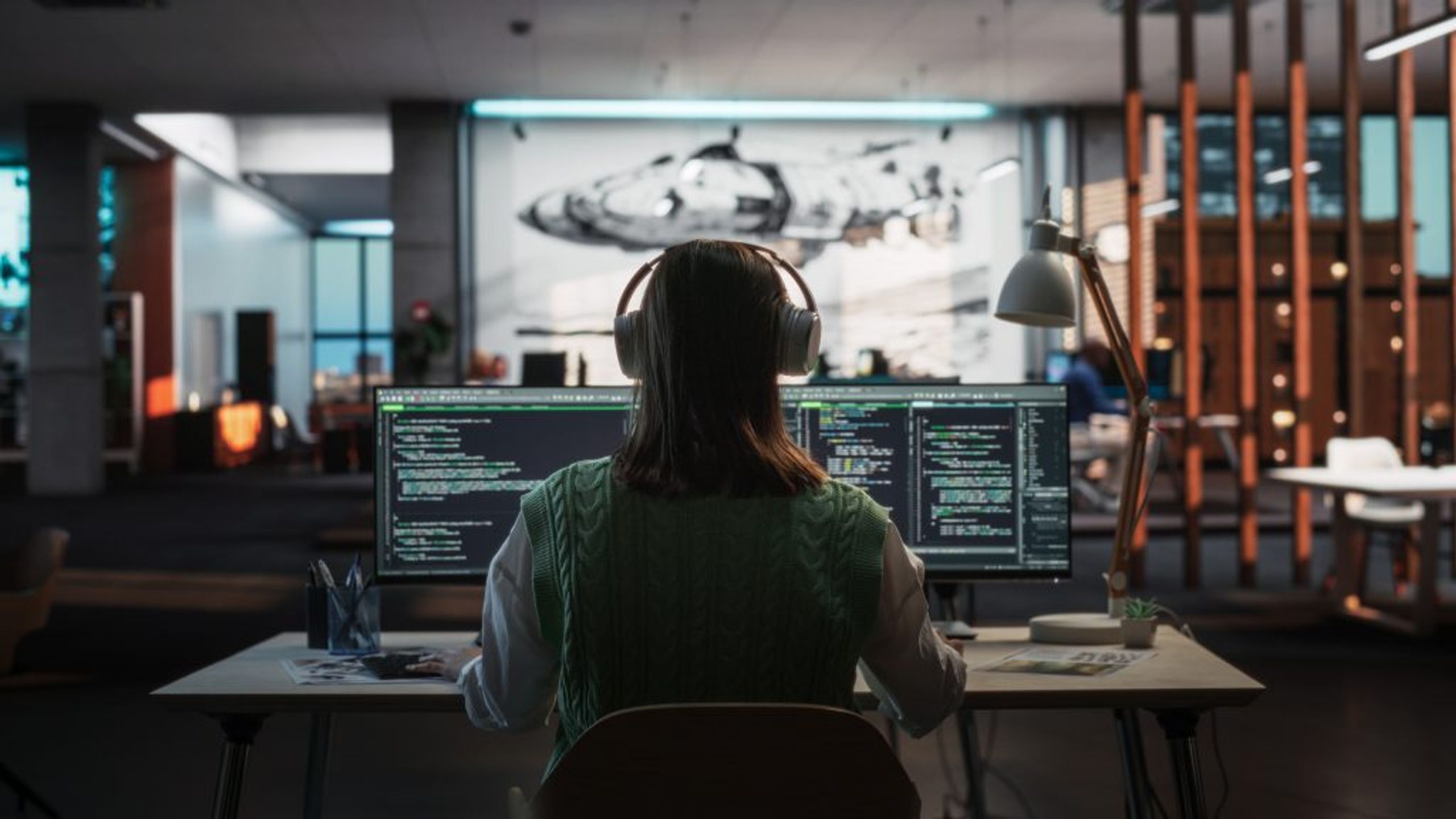 Website Developer