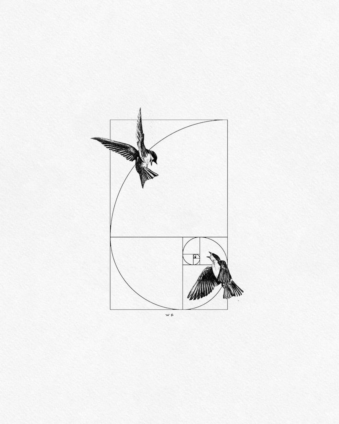 FEAR Quaterly Theory